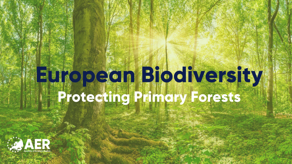 European Biodiversity: Protecting Primary Forests