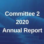 Committee 2 Annual Report June 2019 – November 2020